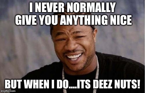 Deez nutz  | I NEVER NORMALLY GIVE YOU ANYTHING NICE; BUT WHEN I DO....ITS DEEZ NUTS! | image tagged in memes,yo dawg heard you | made w/ Imgflip meme maker