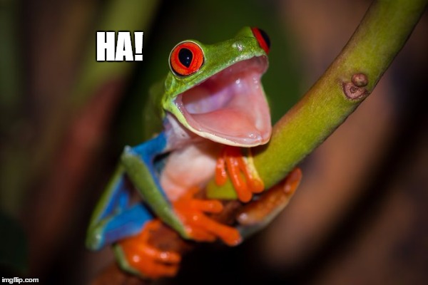HA! | made w/ Imgflip meme maker
