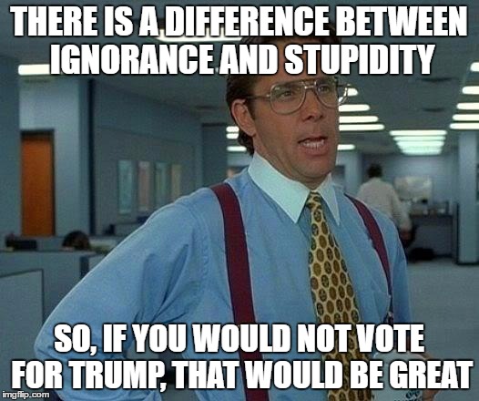 That Would Be Great Meme | THERE IS A DIFFERENCE BETWEEN IGNORANCE AND STUPIDITY; SO, IF YOU WOULD NOT VOTE FOR TRUMP, THAT WOULD BE GREAT | image tagged in memes,that would be great | made w/ Imgflip meme maker