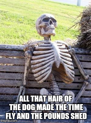 Waiting Skeleton Meme | ALL THAT HAIR OF THE DOG MADE THE TIME FLY AND THE POUNDS SHED | image tagged in memes,waiting skeleton | made w/ Imgflip meme maker