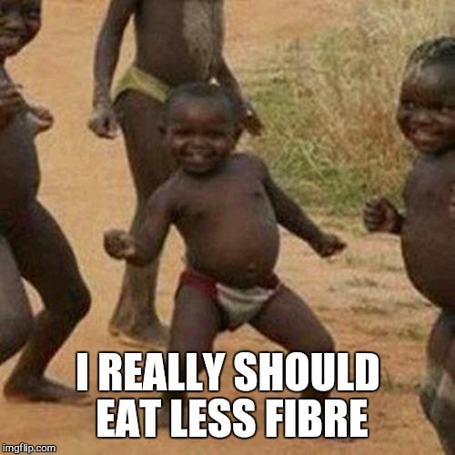 Third World Success Kid Meme | I REALLY SHOULD EAT LESS FIBRE | image tagged in memes,third world success kid | made w/ Imgflip meme maker