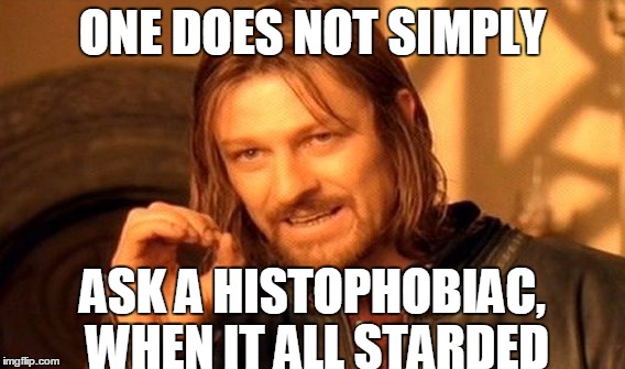 Histophobia (History & Phobia) Noun, A Fear Of The Past | ONE DOES NOT SIMPLY; ASK A HISTOPHOBIAC, WHEN IT ALL STARDED | image tagged in memes,one does not simply,asdfmovie | made w/ Imgflip meme maker