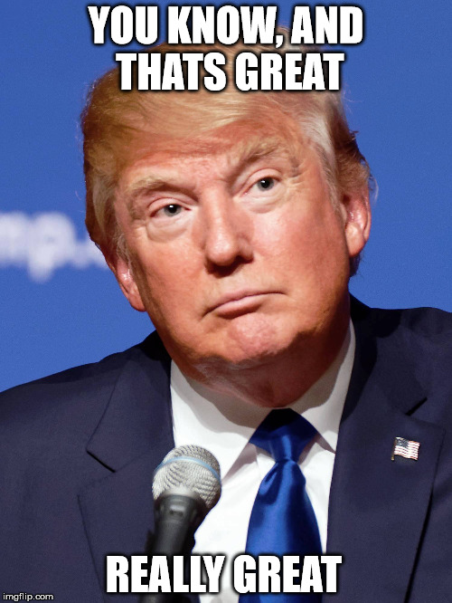 You know, and thats great. Really great | YOU KNOW, AND THATS GREAT; REALLY GREAT | image tagged in donald trump | made w/ Imgflip meme maker