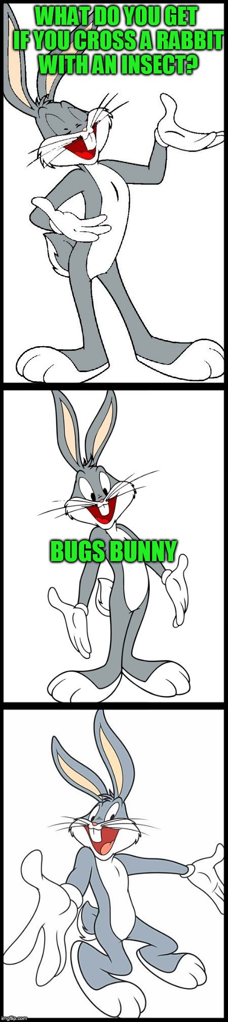 I can't believe I've resorted to this today...but this is my all time favorite pun template | WHAT DO YOU GET IF YOU CROSS A RABBIT WITH AN INSECT? BUGS BUNNY | image tagged in bad bugs bunny pun | made w/ Imgflip meme maker