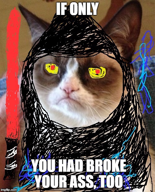 Darth Grumpus | IF ONLY YOU HAD BROKE YOUR ASS, TOO | image tagged in darth grumpus | made w/ Imgflip meme maker