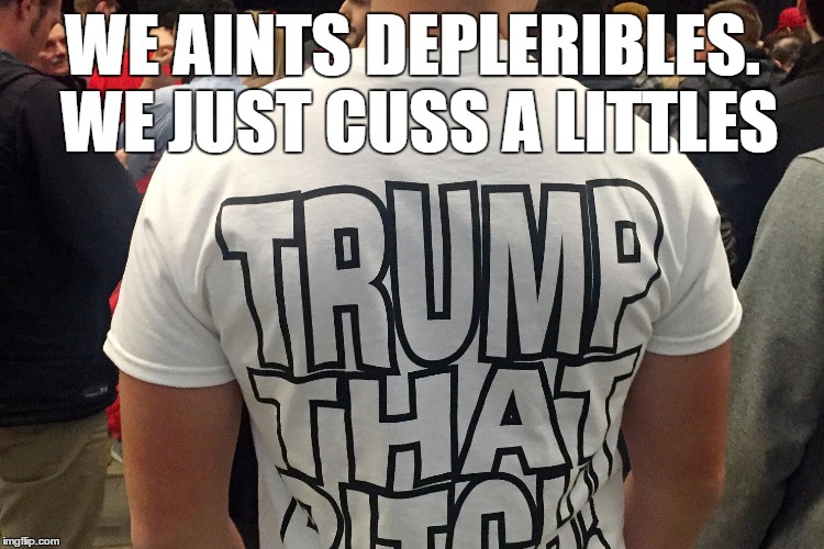 WE AINTS DEPLERIBLES. WE JUST CUSS A LITTLES | image tagged in trump | made w/ Imgflip meme maker