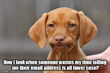 Dissapointed puppy | How I look when someone wastes my time telling me their email address is all lower case? | image tagged in dissapointed puppy | made w/ Imgflip meme maker