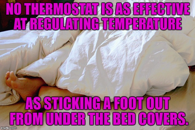 thermostat | NO THERMOSTAT IS AS EFFECTIVE AT REGULATING TEMPERATURE; AS STICKING A FOOT OUT FROM UNDER THE BED COVERS. | image tagged in thermostat,covers,bed,hot,cold,funny memes | made w/ Imgflip meme maker