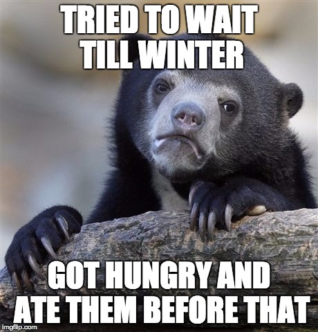 Confession Bear Meme | TRIED TO WAIT TILL WINTER GOT HUNGRY AND ATE THEM BEFORE THAT | image tagged in memes,confession bear | made w/ Imgflip meme maker