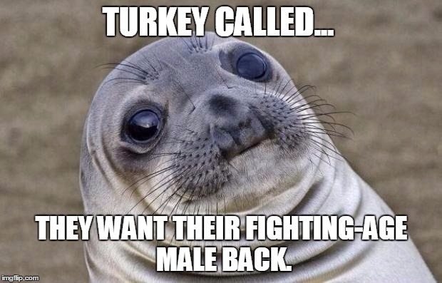 Awkward Moment Sealion Meme | TURKEY CALLED... THEY WANT THEIR FIGHTING-AGE MALE BACK. | image tagged in memes,awkward moment sealion | made w/ Imgflip meme maker