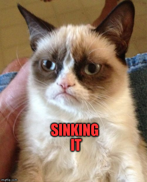 Grumpy Cat Meme | SINKING IT | image tagged in memes,grumpy cat | made w/ Imgflip meme maker