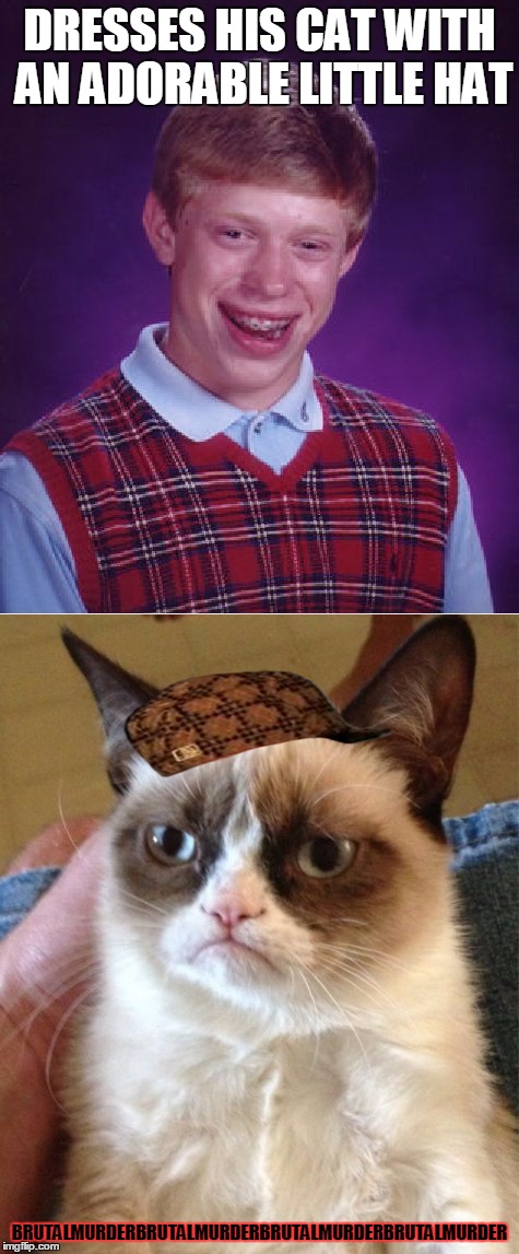 DRESSES HIS CAT WITH AN ADORABLE LITTLE HAT; BRUTALMURDERBRUTALMURDERBRUTALMURDERBRUTALMURDER | image tagged in memes,bad luck brian,grumpy cat,scumbag | made w/ Imgflip meme maker