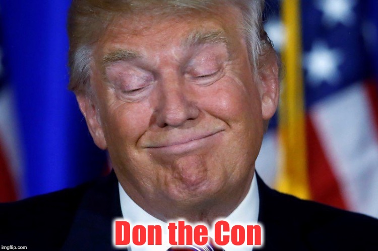 Don the Con | Don the Con | image tagged in don the con | made w/ Imgflip meme maker