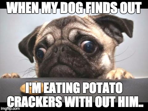 LOL | WHEN MY DOG FINDS OUT; I'M EATING POTATO CRACKERS WITH OUT HIM.. | image tagged in memes | made w/ Imgflip meme maker