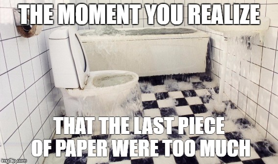THE MOMENT YOU REALIZE; THAT THE LAST PIECE OF PAPER WERE TOO MUCH | image tagged in toilet seat,toilet,water,flood,toilet paper,no more toilet paper | made w/ Imgflip meme maker