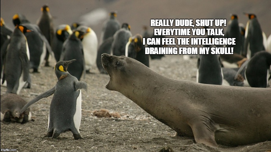 Annoying Friend | REALLY DUDE, SHUT UP! EVERYTIME YOU TALK, I CAN FEEL THE INTELLIGENCE DRAINING FROM MY SKULL! | image tagged in penguin,penguins,seal,seals | made w/ Imgflip meme maker
