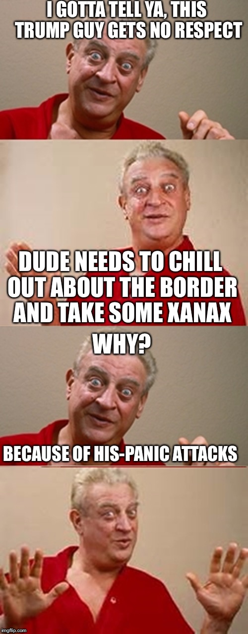 Bad Pun Rodney Dangerfield | I GOTTA TELL YA, THIS TRUMP GUY GETS NO RESPECT; DUDE NEEDS TO CHILL OUT ABOUT THE BORDER AND TAKE SOME XANAX; WHY? BECAUSE OF HIS-PANIC ATTACKS | image tagged in bad pun rodney dangerfield | made w/ Imgflip meme maker