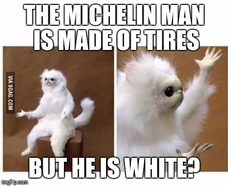 strange wtf cat | THE MICHELIN MAN IS MADE OF TIRES; BUT HE IS WHITE? | image tagged in strange wtf cat | made w/ Imgflip meme maker
