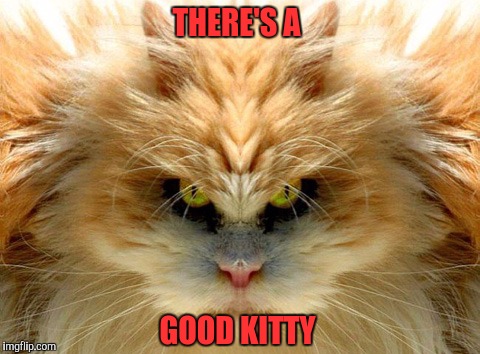 THERE'S A GOOD KITTY | made w/ Imgflip meme maker