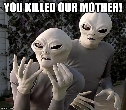 YOU KILLED OUR MOTHER! | made w/ Imgflip meme maker