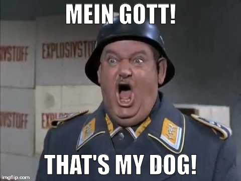 Sgt. Schultz shouting | MEIN GOTT! THAT'S MY DOG! | image tagged in sgt schultz shouting | made w/ Imgflip meme maker