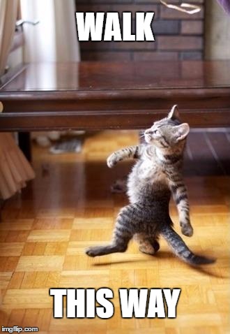 Stray Cat Strut | WALK; THIS WAY | image tagged in memes,cool cat stroll,walk this way,funny | made w/ Imgflip meme maker