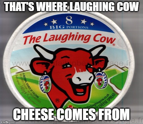 THAT'S WHERE LAUGHING COW CHEESE COMES FROM | made w/ Imgflip meme maker