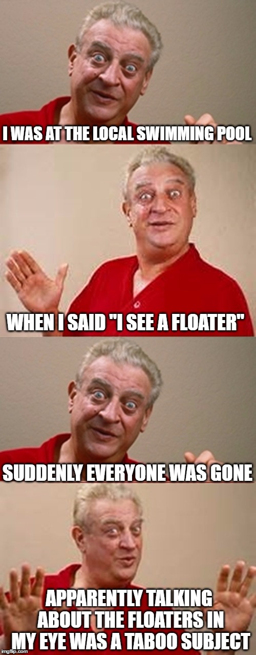 Just A Little "Vitreous Humour" | I WAS AT THE LOCAL SWIMMING POOL; WHEN I SAID "I SEE A FLOATER"; SUDDENLY EVERYONE WAS GONE; APPARENTLY TALKING ABOUT THE FLOATERS IN MY EYE WAS A TABOO SUBJECT | image tagged in bad pun rodney dangerfield | made w/ Imgflip meme maker