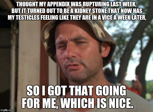 Thought last weeks pain was the worst, jokes on me. | THOUGHT MY APPENDIX WAS RUPTURING LAST WEEK, BUT IT TURNED OUT TO BE A KIDNEY STONE THAT NOW HAS MY TESTICLES FEELING LIKE THEY ARE IN A VICE A WEEK LATER, SO I GOT THAT GOING FOR ME, WHICH IS NICE. | image tagged in memes,so i got that goin for me which is nice | made w/ Imgflip meme maker