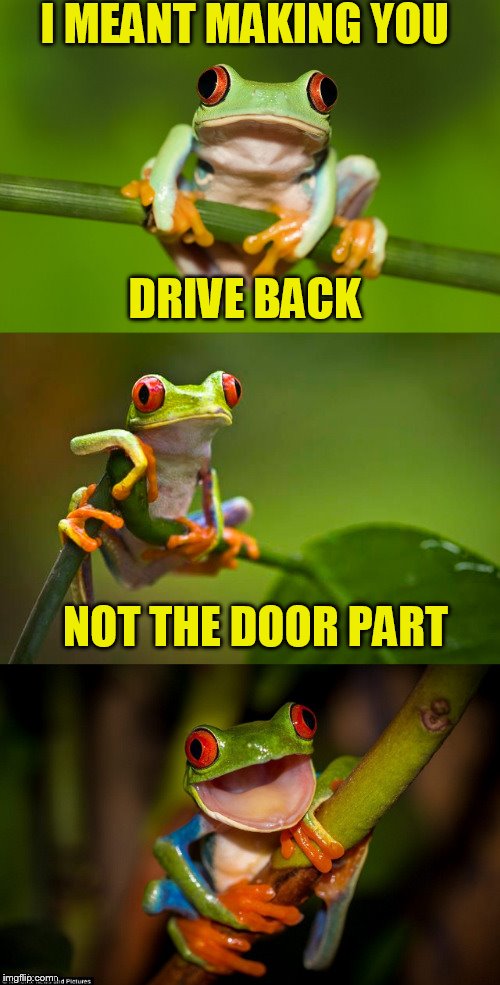 Frog Puns | I MEANT MAKING YOU DRIVE BACK NOT THE DOOR PART | image tagged in frog puns | made w/ Imgflip meme maker