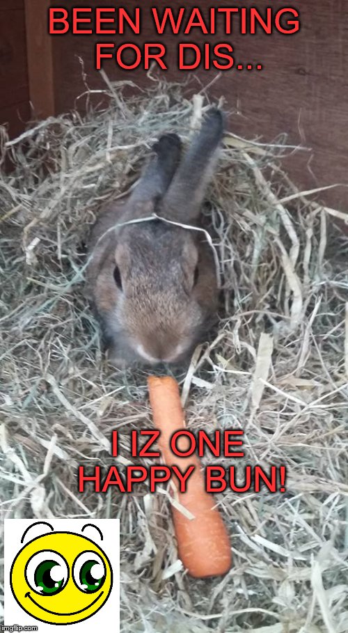 Happy | BEEN WAITING FOR DIS... I IZ ONE HAPPY BUN! | image tagged in memes | made w/ Imgflip meme maker