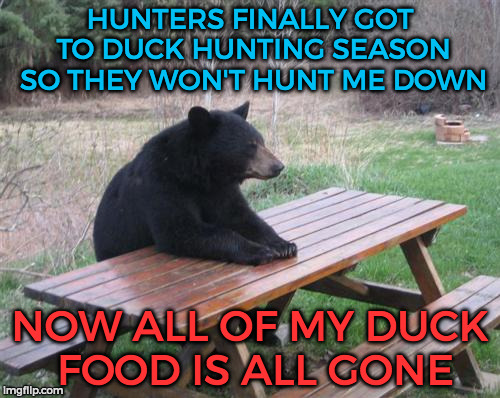 Bad Luck Bear Meme | HUNTERS FINALLY GOT TO DUCK HUNTING SEASON SO THEY WON'T HUNT ME DOWN; NOW ALL OF MY DUCK FOOD IS ALL GONE | image tagged in memes,bad luck bear | made w/ Imgflip meme maker