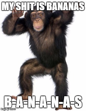 My Shit | MY SHIT IS BANANAS; B-A-N-A-N-A-S | image tagged in funny,monkeys,bananas,gwen stefani | made w/ Imgflip meme maker