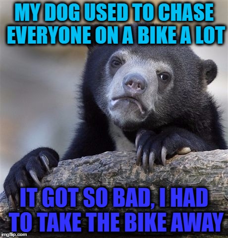 Confession Bear | MY DOG USED TO CHASE EVERYONE ON A BIKE A LOT; IT GOT SO BAD, I HAD TO TAKE THE BIKE AWAY | image tagged in memes,confession bear | made w/ Imgflip meme maker