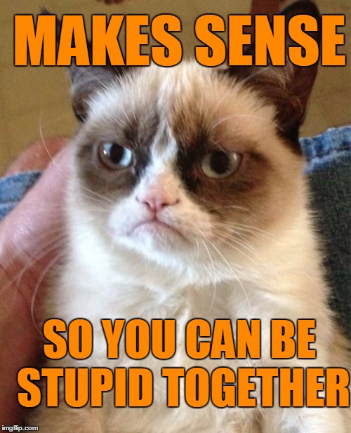 Grumpy Cat Meme | MAKES SENSE SO YOU CAN BE STUPID TOGETHER | image tagged in memes,grumpy cat | made w/ Imgflip meme maker