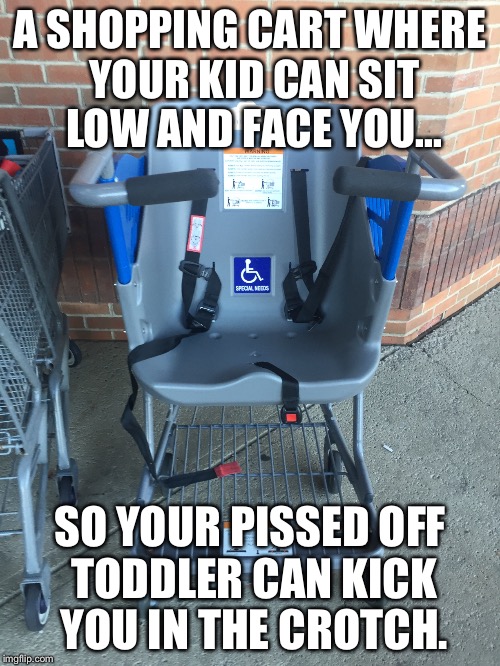 Bad design | A SHOPPING CART WHERE YOUR KID CAN SIT LOW AND FACE YOU... SO YOUR PISSED OFF TODDLER CAN KICK YOU IN THE CROTCH. | image tagged in parenting,crotch,funny,angry toddler | made w/ Imgflip meme maker