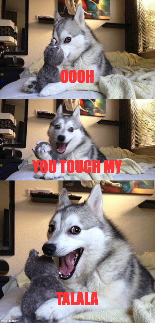 Bad Pun Dog Meme | OOOH; YOU TOUCH MY; TALALA | image tagged in memes,bad pun dog | made w/ Imgflip meme maker