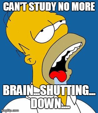 Homer Drooling | CAN'T STUDY NO MORE BRAIN...SHUTTING... DOWN.... | image tagged in homer drooling | made w/ Imgflip meme maker