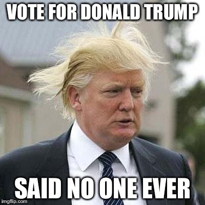 Donald Trump | VOTE FOR DONALD TRUMP; SAID NO ONE EVER | image tagged in donald trump | made w/ Imgflip meme maker