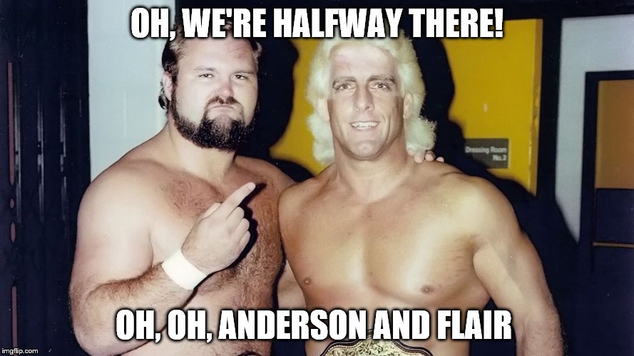 Anderson and flair  | OH, WE'RE HALFWAY THERE! OH, OH, ANDERSON AND FLAIR | image tagged in wwe | made w/ Imgflip meme maker