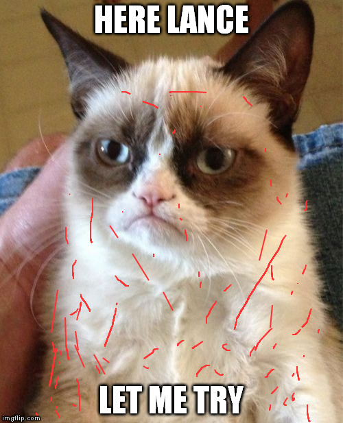 Grumpy Cat Meme | HERE LANCE LET ME TRY | image tagged in memes,grumpy cat | made w/ Imgflip meme maker
