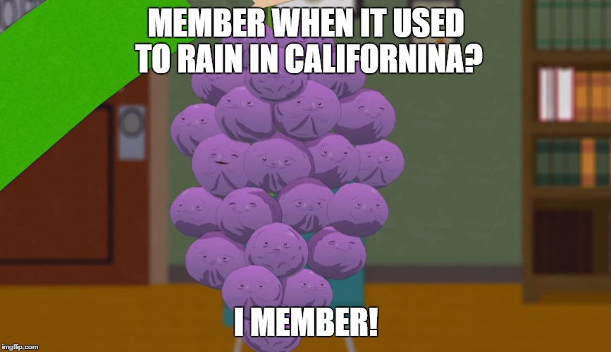 MEMBER WHEN IT USED TO RAIN IN CALIFORNINA? I MEMBER! | made w/ Imgflip meme maker