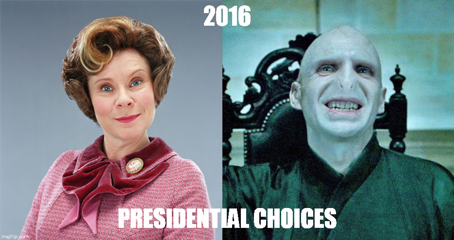 2016 presidential choices | 2016; PRESIDENTIAL CHOICES | image tagged in fucknugget,trump asshole,mangled plumb | made w/ Imgflip meme maker