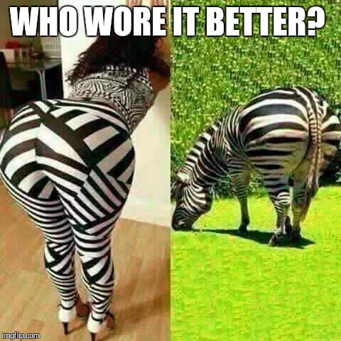 Stylin | WHO WORE IT BETTER? | image tagged in zebra,style | made w/ Imgflip meme maker