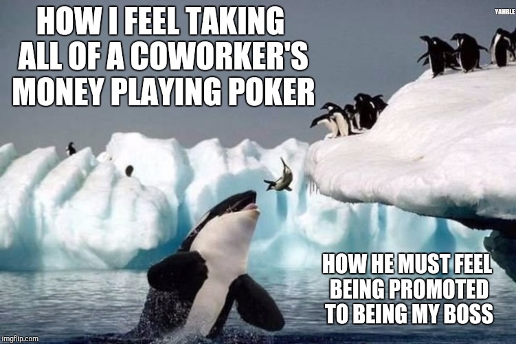 karma | YAHBLE; HOW I FEEL TAKING ALL OF A COWORKER'S MONEY PLAYING POKER; HOW HE MUST FEEL BEING PROMOTED TO BEING MY BOSS | image tagged in karma | made w/ Imgflip meme maker