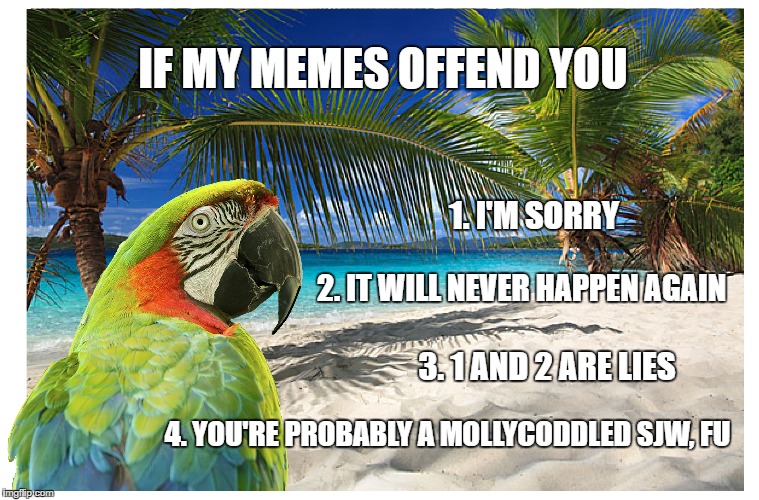 Did I offend you? | IF MY MEMES OFFEND YOU; 1. I'M SORRY; 2. IT WILL NEVER HAPPEN AGAIN; 3. 1 AND 2 ARE LIES; 4. YOU'RE PROBABLY A MOLLYCODDLED SJW, FU | image tagged in offended | made w/ Imgflip meme maker