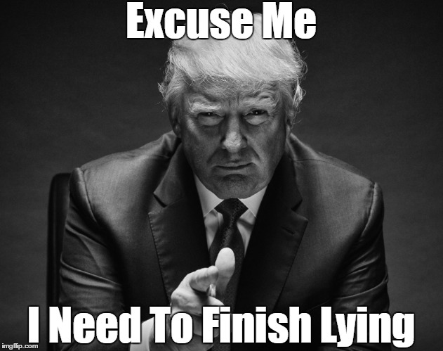 Excuse Me I Need To Finish Lying | made w/ Imgflip meme maker