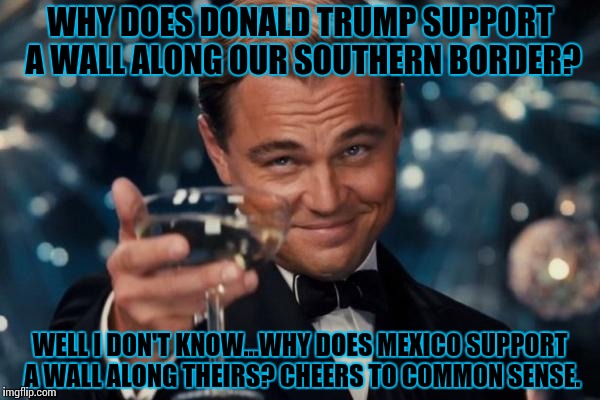 Leonardo Dicaprio Cheers | WHY DOES DONALD TRUMP SUPPORT A WALL ALONG OUR SOUTHERN BORDER? WELL I DON'T KNOW...WHY DOES MEXICO SUPPORT A WALL ALONG THEIRS? CHEERS TO COMMON SENSE. | image tagged in memes,leonardo dicaprio cheers | made w/ Imgflip meme maker