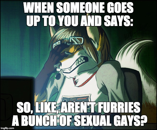 Furry facepalm |  WHEN SOMEONE GOES UP TO YOU AND SAYS:; SO, LIKE, AREN'T FURRIES A BUNCH OF SEXUAL GAYS? | image tagged in furry facepalm | made w/ Imgflip meme maker