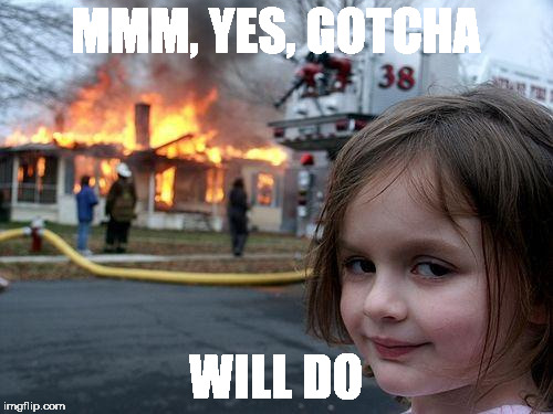 Disaster Girl Meme | MMM, YES, GOTCHA WILL DO | image tagged in memes,disaster girl | made w/ Imgflip meme maker